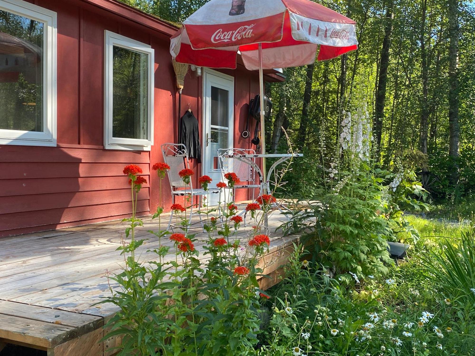 Trapper John'S Cabin & Cottages Толкітна Екстер'єр фото