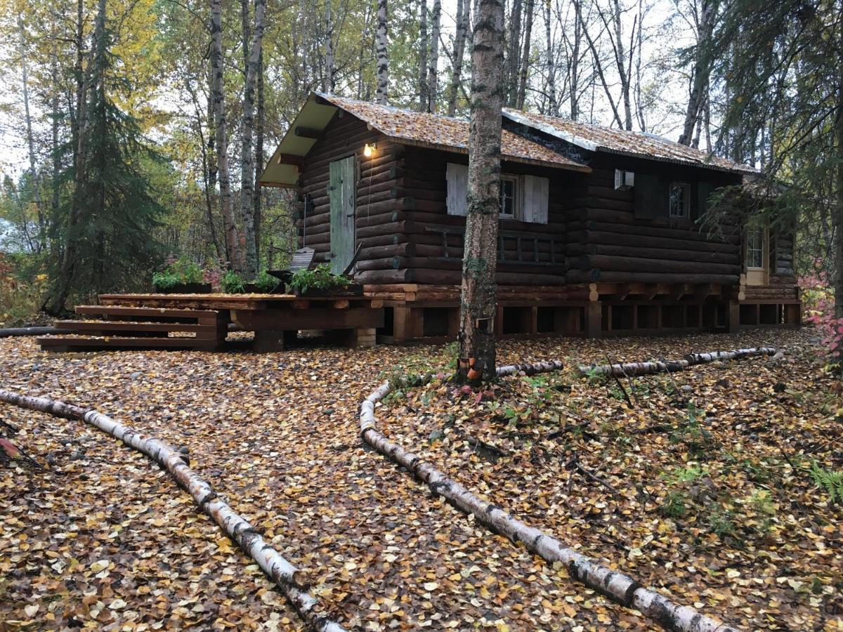 Trapper John'S Cabin & Cottages Толкітна Екстер'єр фото