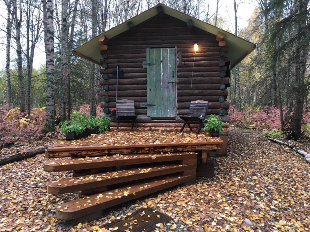 Trapper John'S Cabin & Cottages Толкітна Екстер'єр фото